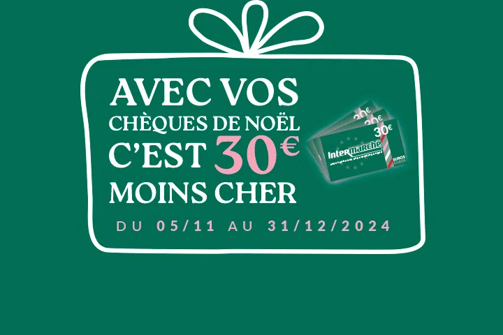 S45-2024_VIGNETTE ACTION_CHEQUESNOEL_M FR